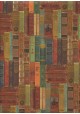 La bibliothèque (50x68)