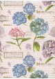 Planche d'hortensias sur fond d'écritures (50x68)