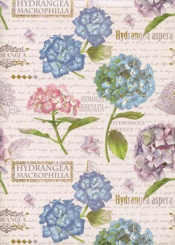 Planche d'hortensias sur fond d'écritures (50x68)
