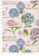 Planche d'hortensias sur fond d'écritures (50x68)