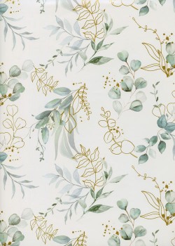 Feuillage d'eucalyptus (50x68)