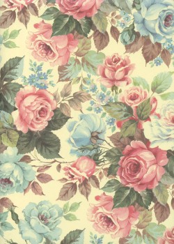 Les roses anciennes (50x68)