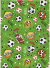 Le football (50x68)