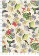 Les colibris (70x100)