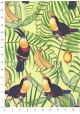 Les toucans fond exotique vert et jaune (70x100)