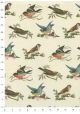Planche d'oiseaux (50x70)