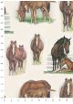 Chevaux au pré (70x100)