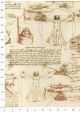 Léonard de Vinci- écritures et dessins (70x100)