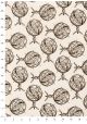 "Les sciences" l'astrologie (50x70)