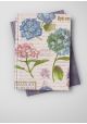 Planche d'hortensias sur fond d'écritures (50x68)