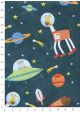 Les animaux de l'espace (68,5x98)