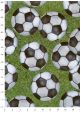 Les ballons de football (68,5x98)