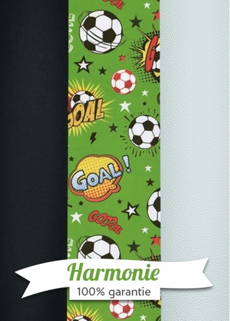 HARMONIE TRIO Le football
