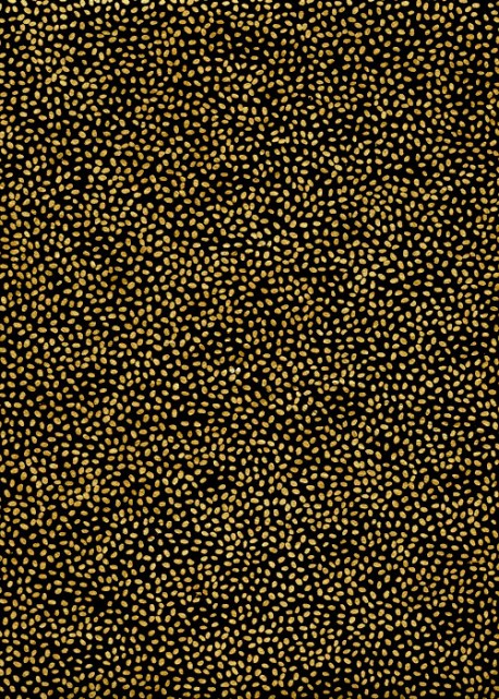 Papier lokta grain de riz or fond noir (50x75)