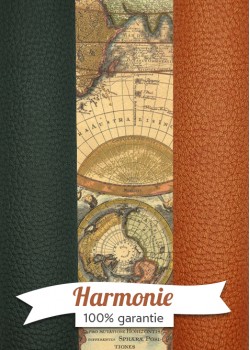HARMONIE TRIO Planisphère du monde