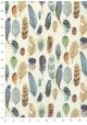 Planche de plumes (50x70)