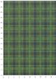 Ecossais vert (70x100)
