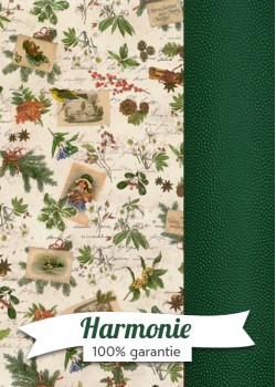 HARMONIE DUO Oiseaux et fleurs de noël