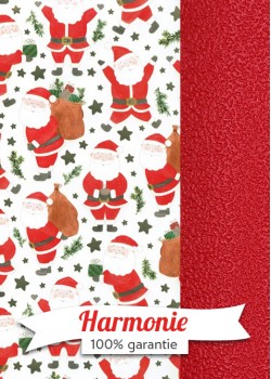 HARMONIE DUO Le Père Noël se prépare