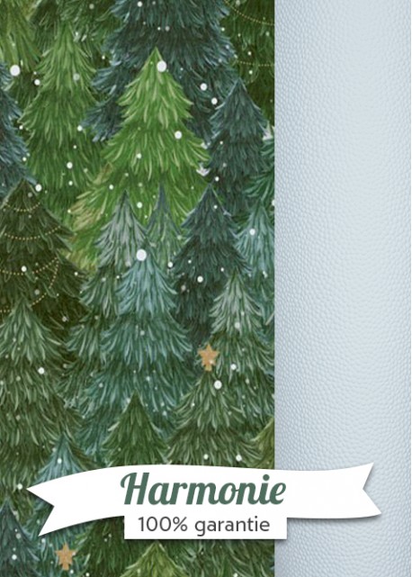 HARMONIE DUO Les sapins sous les flocons