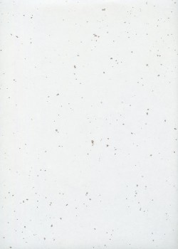 Ginfuri blanc inclusion argent (55x78)