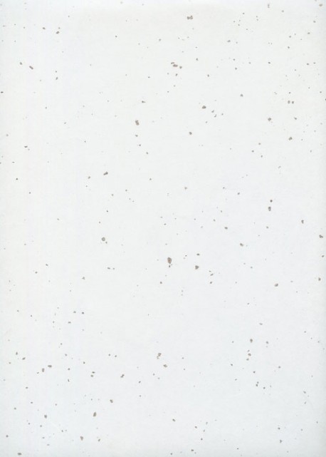 Ginfuri blanc inclusion argent (55x78)