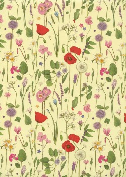 Fleurs de printemps réhaussé or (50x68)