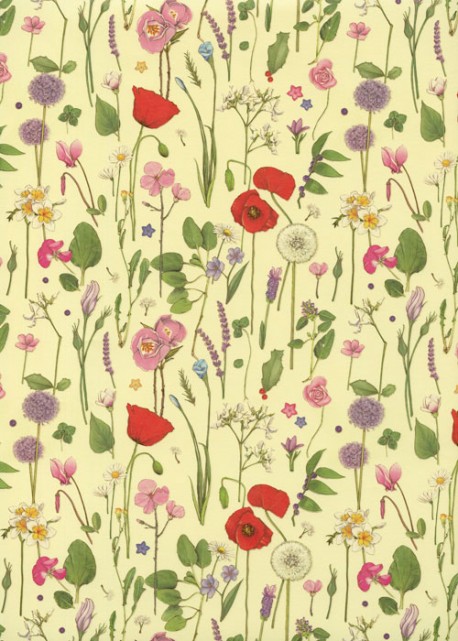 Fleurs de printemps réhaussé or (50x68)