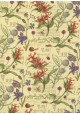 Planche botanique réhaussé or (50x68)