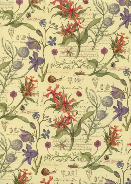 Planche botanique réhaussé or (50x68)
