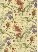 Planche botanique réhaussé or (50x68)