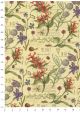 Planche botanique réhaussé or (50x68)