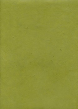 Papier lokta vert prairie (50x75)