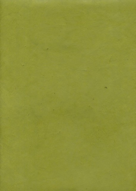 Papier lokta vert prairie (50x75)