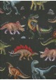 Planche de dinosaures fond noir (68,5x98)