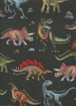 Planche de dinosaures fond noir (68,5x98)