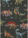 Planche de dinosaures fond noir (68,5x98)