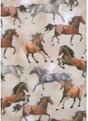 Galopades de chevaux (68,5x98)