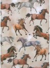 Galopades de chevaux (68,5x98)