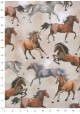 Galopades de chevaux (68,5x98)