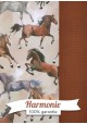 HARMONIE DUO galopades de cheveaux