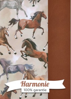 HARMONIE DUO galopades de cheveaux