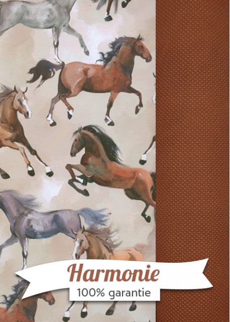 HARMONIE DUO galopades de cheveaux