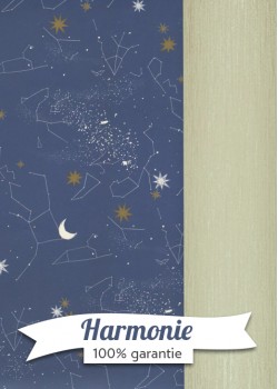 HARMONIE DUO la nuit des étoiles