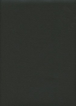 Simili cuir "Perle" noir