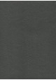 Skivertex "Lézard" (530X69) gris foncé