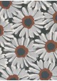 Les marguerites grises sur fond noir