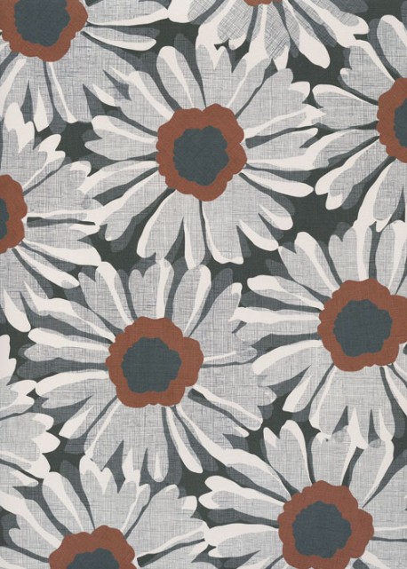 Les marguerites grises sur fond noir