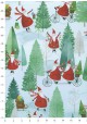 Le Père noël à vélo (68x98)