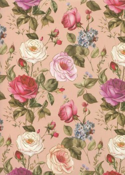 Roses sauvages sur fond poudré (50x68)